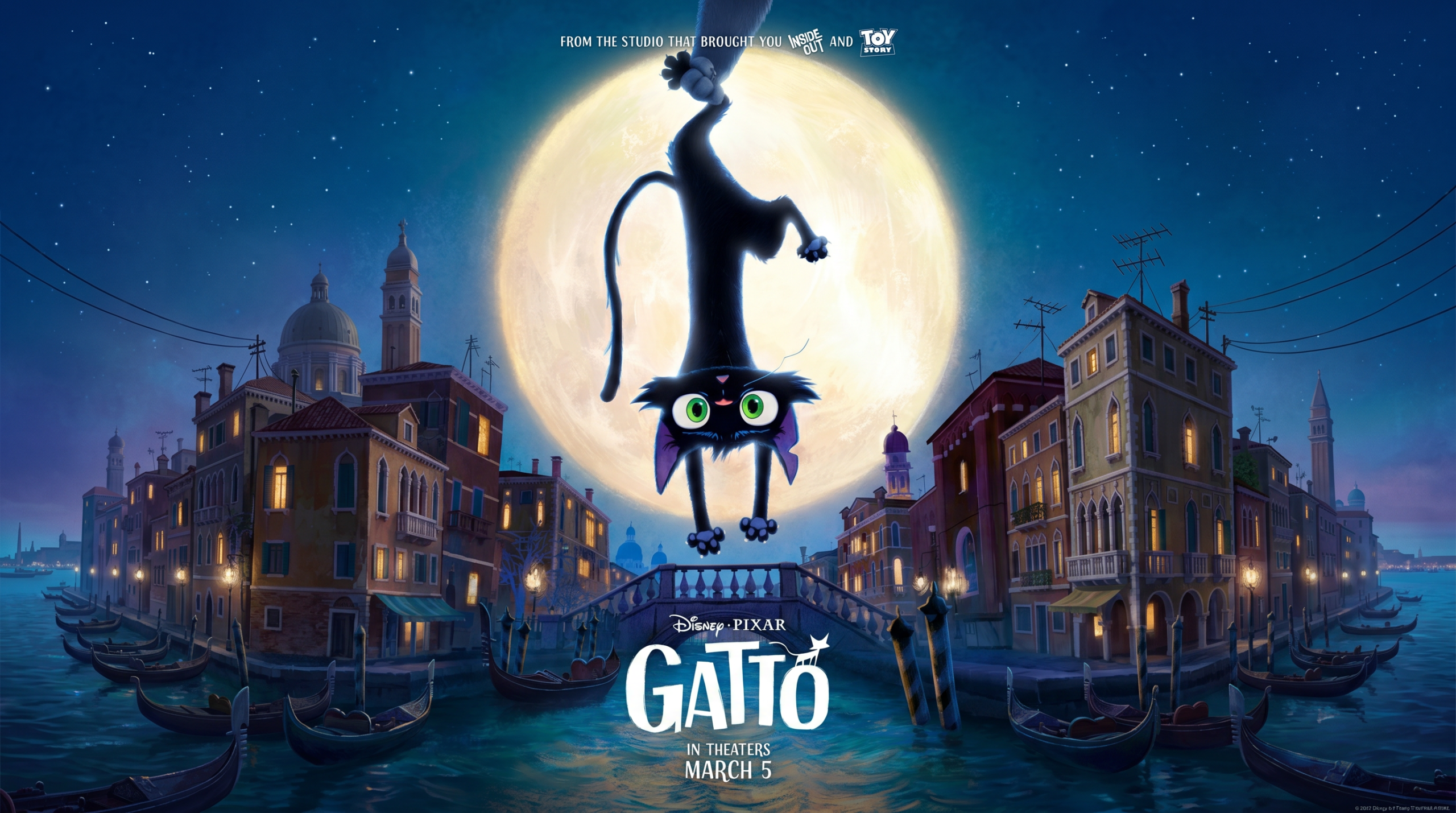 gattobanner