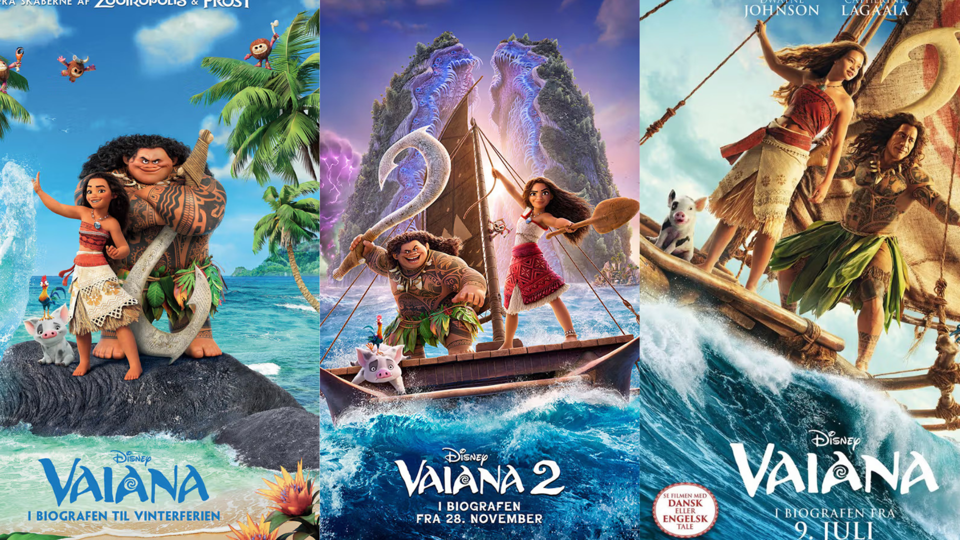 vaianabanner